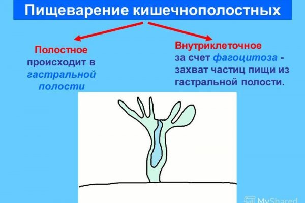 Кракен onoin