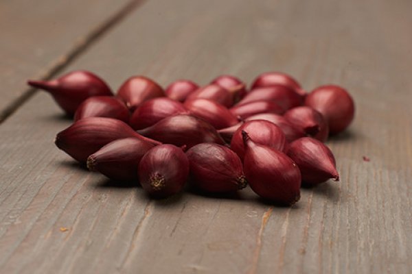 Kraken onion вход
